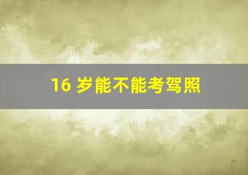 16 岁能不能考驾照